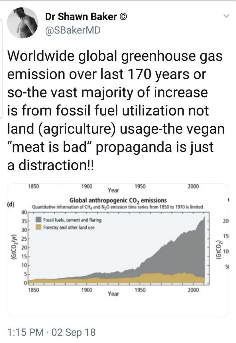 ImamMedia's tweet photo. @globalnews Carnivore diet has changed my life! Medical issues forced me to find anything that worked, tried it all. Big Pharma and Food corporations dont want you to eat unprocessed food, big profits in carbs and sugars. Pharma needs fat &amp; sick people and we are dependent on sugars &amp; drugs. https://t.co/5u7sS9oj9S