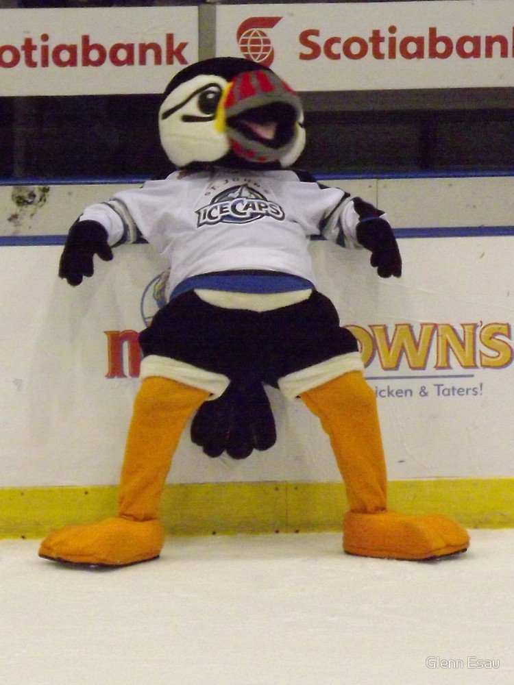 Stephen_Coombs's tweet photo. Hey @Buddy_ThePuffin! Wha's ya at... wha's goin' on? Been away too Long! The @NLGrowlers should play this for you tonight when you hit the ice again @MileOne_Centre! https://t.co/7T3W4MoMWg #TheFables https://t.co/uCdLtQfWYP