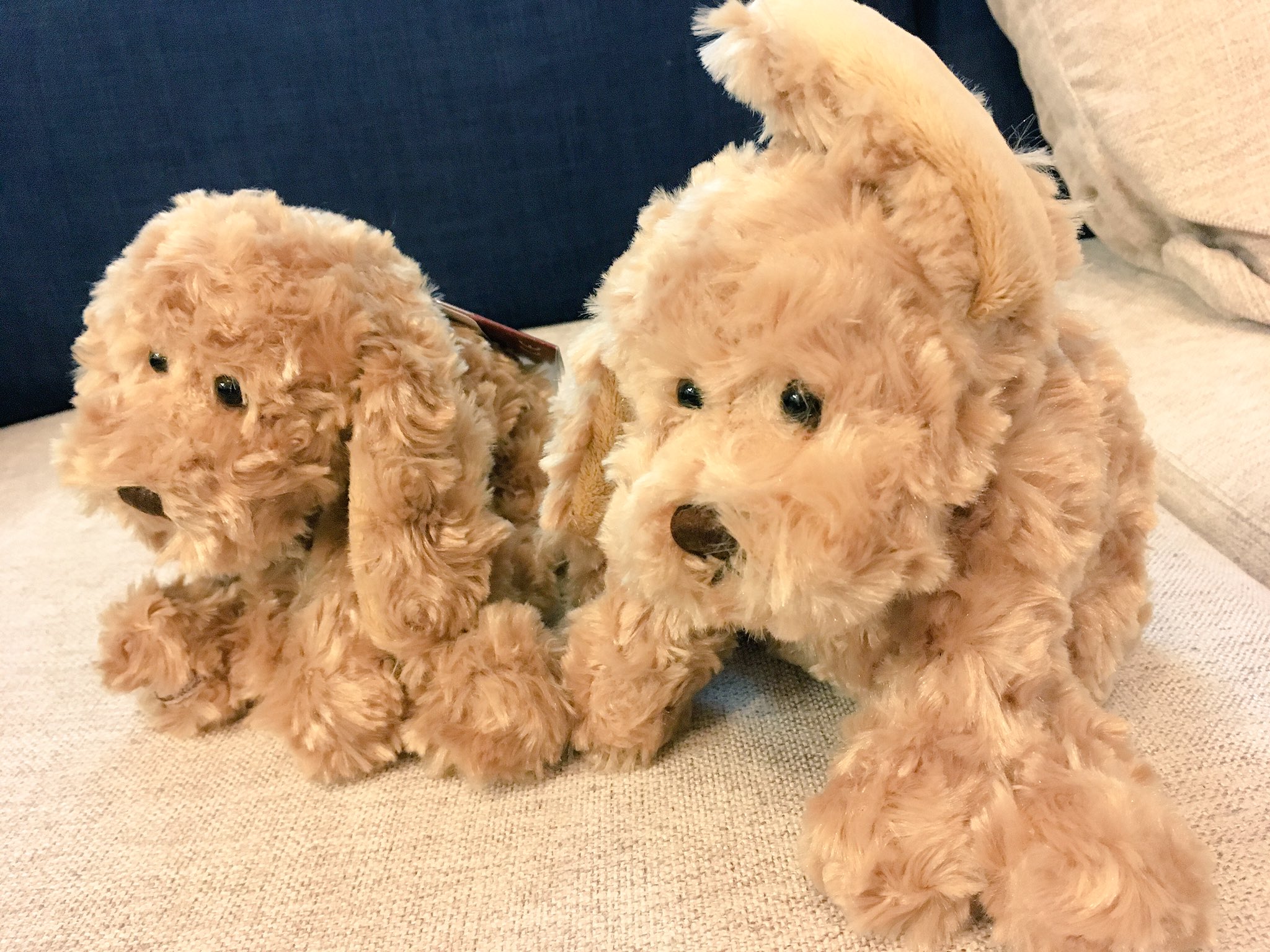 𝐫𝐞𝐜𝐮𝐧𝐚 ﾚｸﾅ たれ耳のわんちゃん 1匹は赤ちゃんへのプレゼント として旅立ちます 出産祝い ファーストトイ Jellycat Bukowskidesign ブコウスキー Bukowski ぬいぐるみ T Co W0bzegjcp1 Twitter
