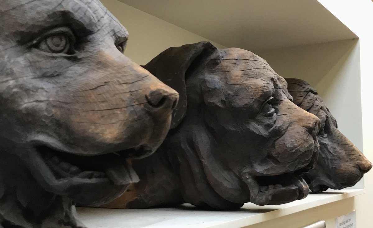 clairesholm's tweet photo. Final work photoed of this shoot #artuksculptureproject @artukdotorg for @HeadofSteamMus carved dogs heads used to decorate a now demolished #darlington building. Many thanks to Leona for all her help today, you can now concentrate on the wedding just about to start! https://t.co/bWHNbdD3Z3