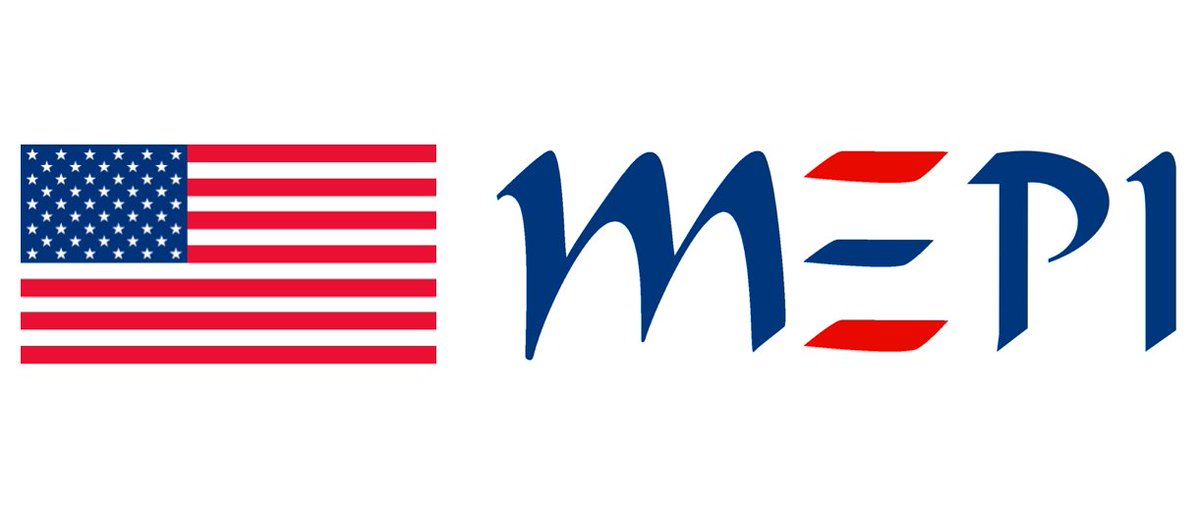 MEPI Logo