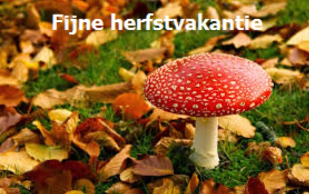 NoordhoffBAO on Twitter: "Wij wensen de regio zuid een hele fijne  herfstvakantie toe! #herfst #vakantie… "