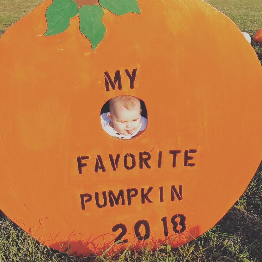 TheBlairs05's tweet photo. My little pumpkins♥️ https://t.co/hsQ2e0M6TD