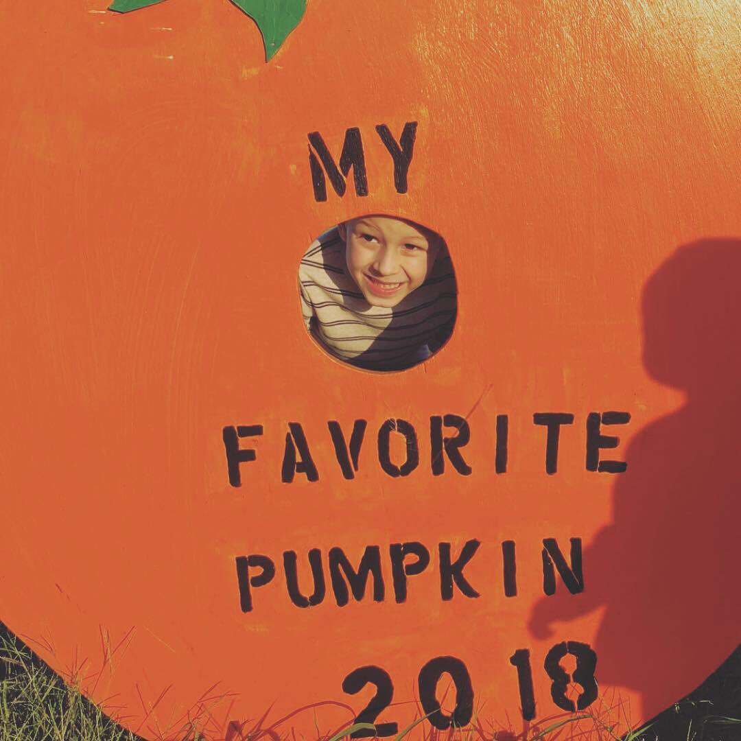 TheBlairs05's tweet photo. My little pumpkins♥️ https://t.co/hsQ2e0M6TD