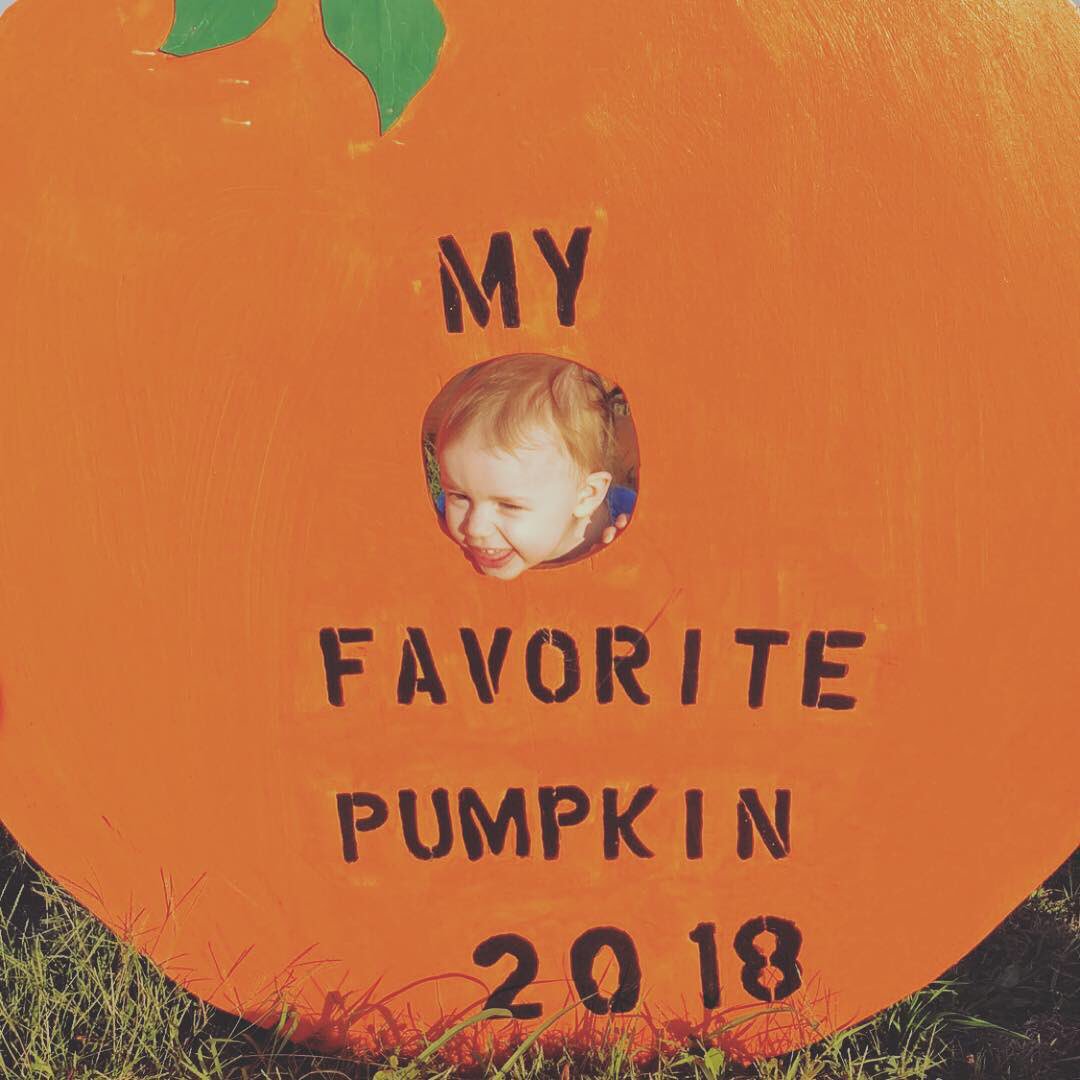 TheBlairs05's tweet photo. My little pumpkins♥️ https://t.co/hsQ2e0M6TD
