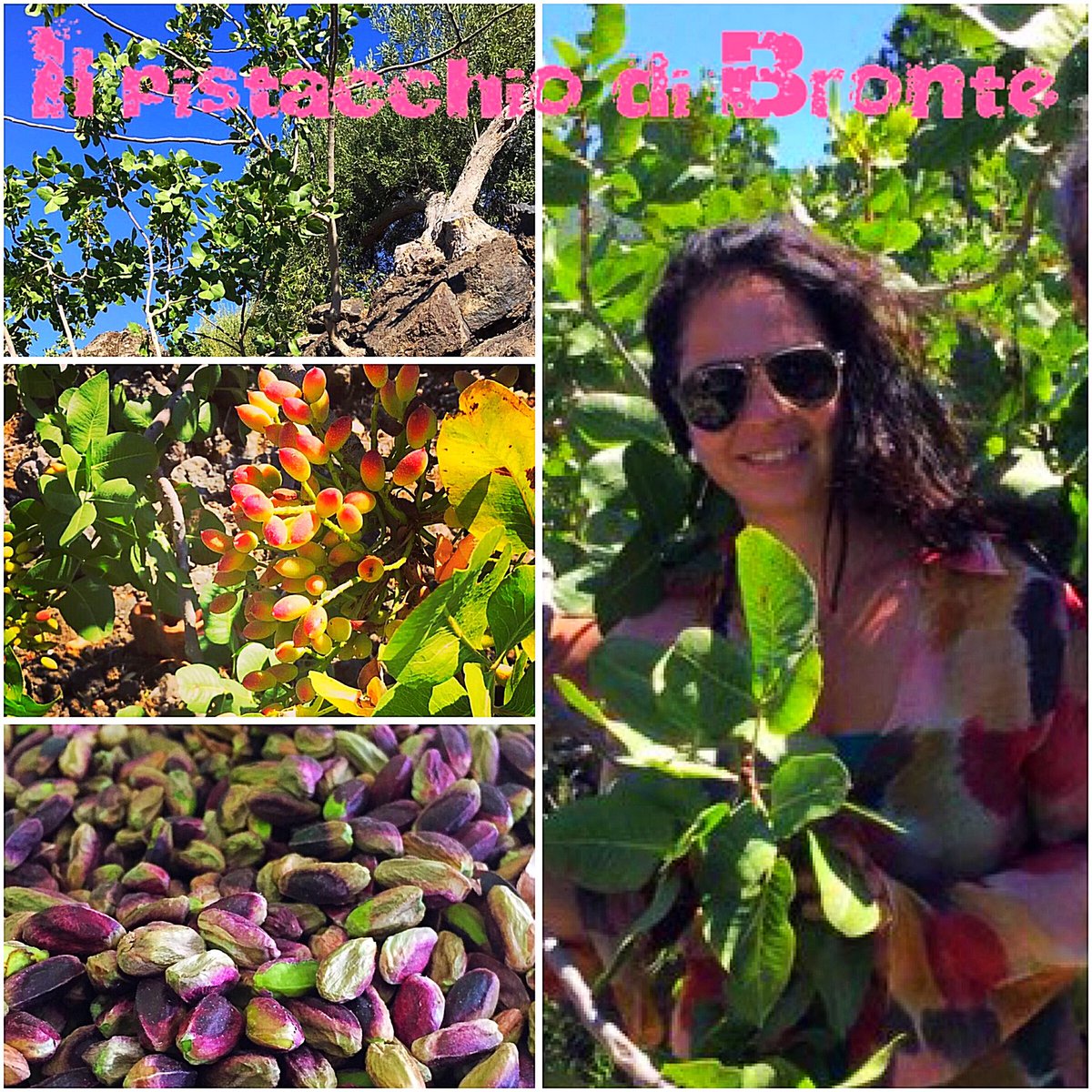 Anche il pistacchio di Bronte artigianale sarà presente a Back to the Wine, Faenza 18-19 novembre 2018. Non ve lo perdete!
#backtothewine #foodporn #foodie #pistacchio #pistacchiodibronte #foodfair #winefair #artesanal #biofood #craftfood #foodandwine