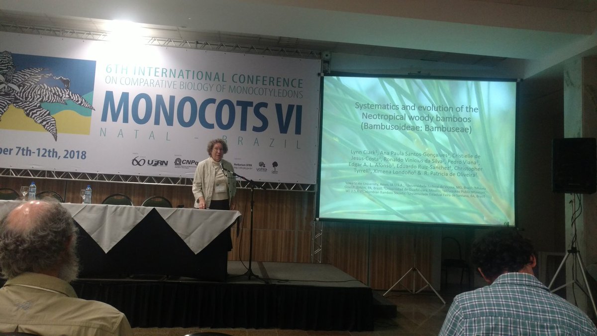 ruizlalo's tweet photo. Neotropical #bamboo systematics by Lynn Clark #MonocotsVI #monocots6 @MPMBotany https://t.co/sdtQWeyR5v