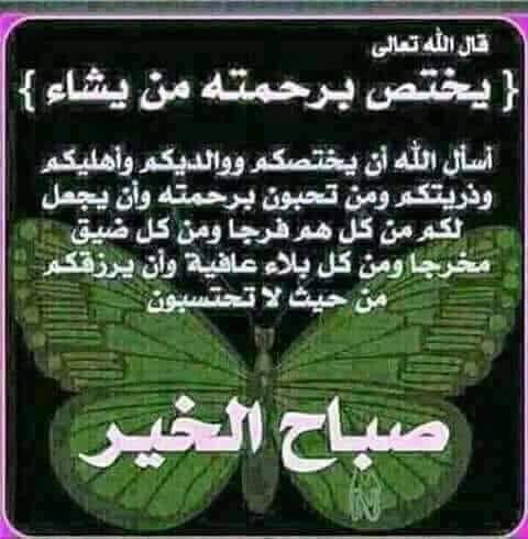 Mohamed Sharf (@mohamed39683332) on Twitter photo 