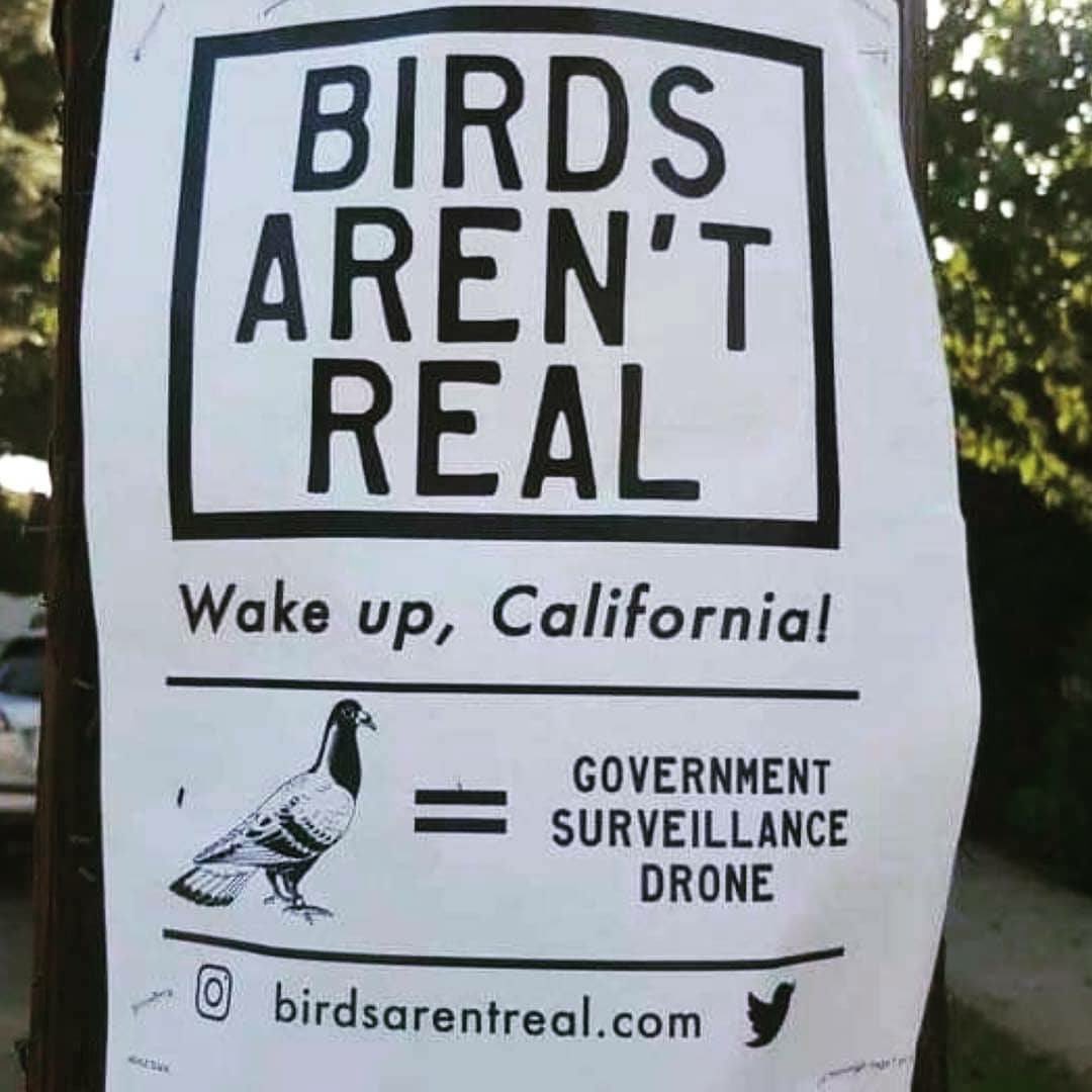 sloth_serge's tweet image. I always knew that ‘birds‘ were agents of the #illuminati deep state. 

Don’t let them get away with it. 

Eat hot-dogs with no buns. Resist! 

#HailEris 

#Discordian #Truths