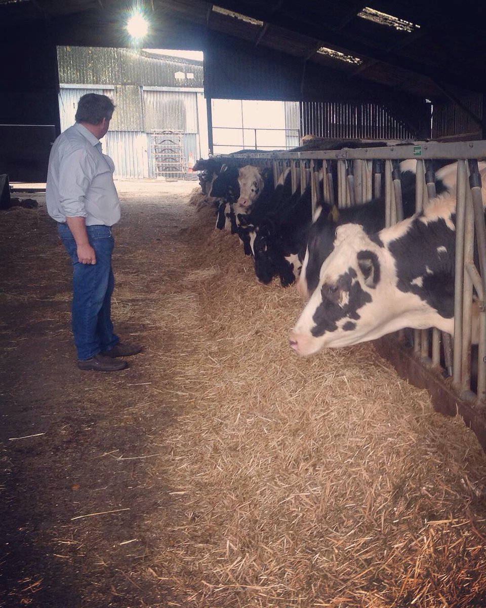 timtomdon's tweet image. #StockenFarm is home to 400 dairy cows and produces 4million litres of milk a year. Richard West clearly cares for his cows and is grappling with a tough potential TB situation at the moment - good luck to him. @FFC_Commission #ffccontheroad