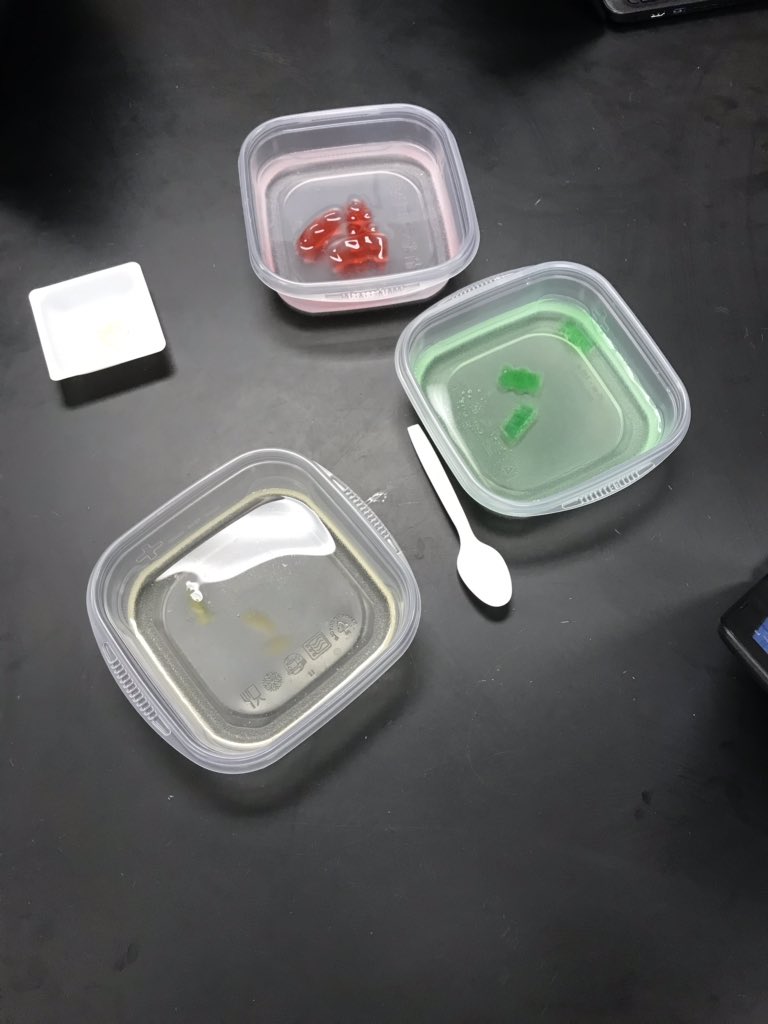 malpalwade's tweet photo. Gummy Bear lab to improve lab reports for SLO in Mrs. Cunningham’s class #gummywave https://t.co/DpkTdDcnmZ