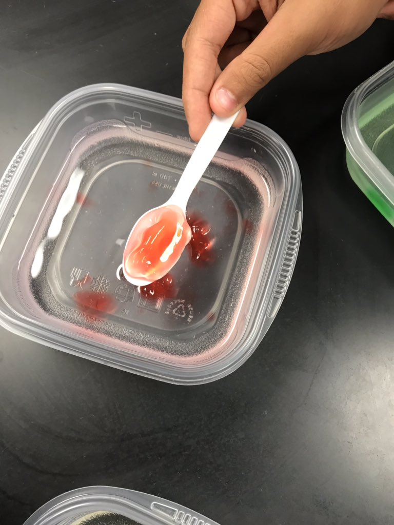 malpalwade's tweet photo. Gummy Bear lab to improve lab reports for SLO in Mrs. Cunningham’s class #gummywave https://t.co/DpkTdDcnmZ