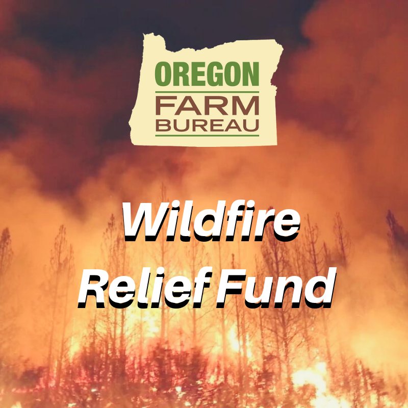 OreFarmBureau's tweet photo. Attn. farmers & ranchers impacted by #wildfires in Wasco & Sherman County, Oregon: Farm Bureau Fire Relief funds are available, with applications due by Nov. 1 https://t.co/JEEnPTFyHy @tdchronicle @capitalpress @HoodRiverNews @EastOregonian #OrAG #OrLeg #OrPol #substationfire https://t.co/sMNgrpoyjg