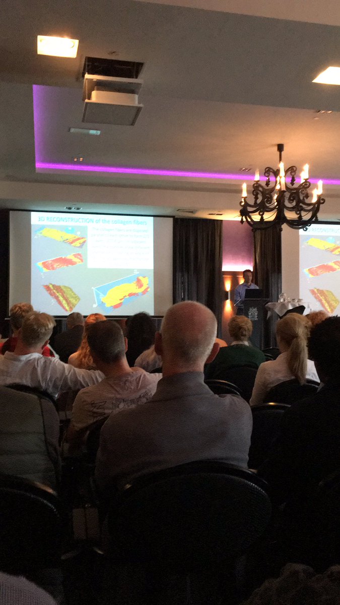 fmtfysio's tweet photo. Vandaag bij het jaarcongres dry needling @ vanderValk Houten. Erg interessante bijdrages over triggerpoints en de fascia van antonio Stecco, jay shaw, Jan Dongerholt, John Srbely en Ernst van der wijk. Volle zaal en super catering. Complimenten!! https://t.co/FjxTW2UZoN