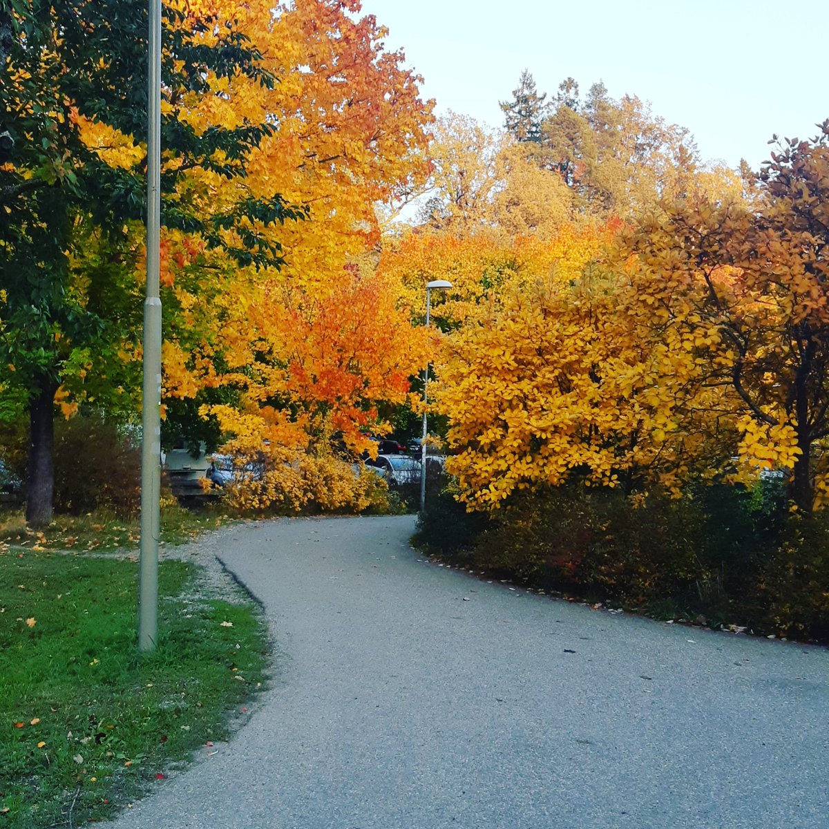 chalebbe's tweet image. I promise to hold your hand.. for lifetime

#missingcoco