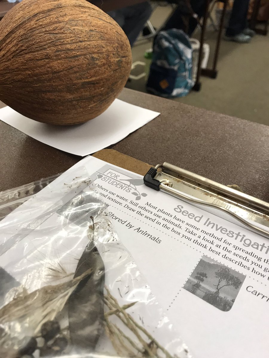 TFPierce's tweet photo. The Seed Need activity fits perfectly with @CVSDElementary’s 3rd grade Structure’s of Life! https://t.co/ULWu5vget7