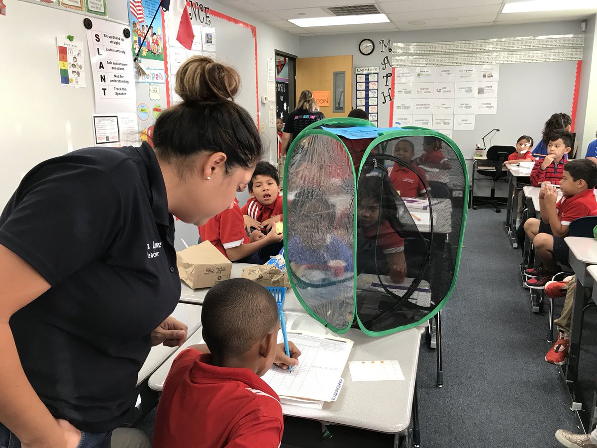 hpsendeavor's tweet photo. Mrs. Lopez’ 3rd grade class helped Ms. Bottomly tag and record data about our Monarchs for @monarchwatch before releasing them into our pollinator garden. #workingtogether #STEMforAll @shelbybottomly @HarmonyEdu https://t.co/YPScj3Lz10