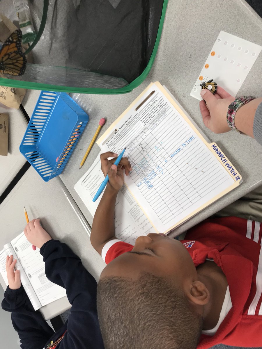 hpsendeavor's tweet photo. Mrs. Lopez’ 3rd grade class helped Ms. Bottomly tag and record data about our Monarchs for @monarchwatch before releasing them into our pollinator garden. #workingtogether #STEMforAll @shelbybottomly @HarmonyEdu https://t.co/YPScj3Lz10