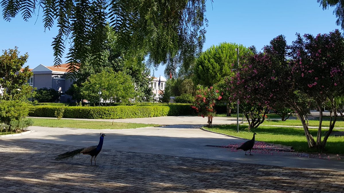 FatihBilfen's tweet photo. Bilfen Okullarının İzmirde hizmete açtığı 2. Kampüs olan Bilfen Güzelbahçe Kampüsünü ziyaretiyle bizleri şereflendiren İzmir Milli Eğitim Müdürü Sn Ömer Yahşi ye ilgi ve alakalarından dolayı teşekkür ederim. @yahsiomer https://t.co/erG31n1kVi