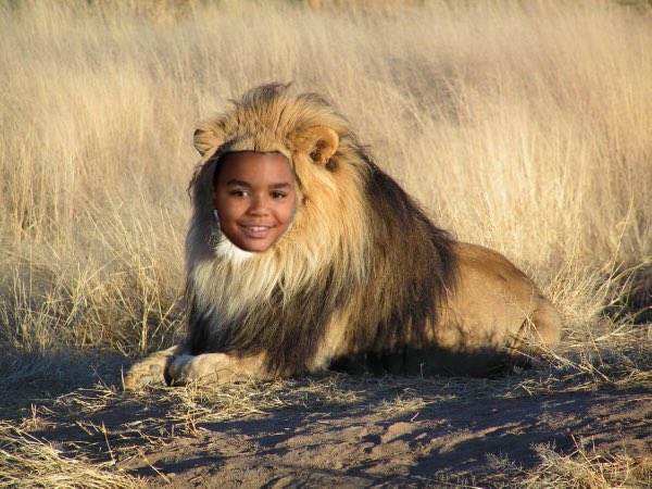 The Swarm tweet media