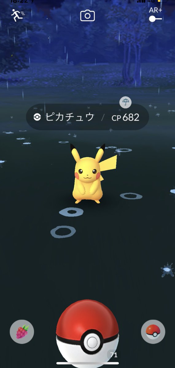 ニドランメス ニドランメス