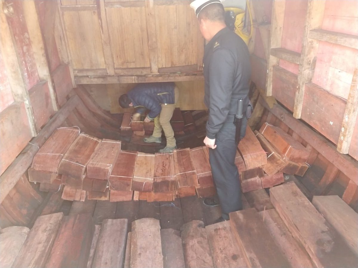 En #dalcahue la <a href="/Armada_Chile/">Armada de Chile</a> junto a <a href="/conaf_minagri/">CONAF - Corporación Nacional Forestal</a> realiza fiscalización e incautación de madera de alerce embarcará sin documentación requerida.