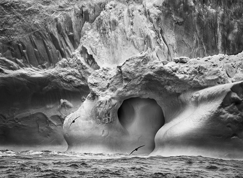 mep_paris's tweet photo. "UNE COLLECTION" #CollectionMEP
Depuis près de 40 ans Sebastião Salgado n’a qu’une obsession : sonder la terre et ses damnés. Son grand projet "Genesis" exposé en 2013 à la MEP, est un hommage sans précédent à notre planète.
#SebastiãoSalgado https://t.co/SbhJsNuWna
