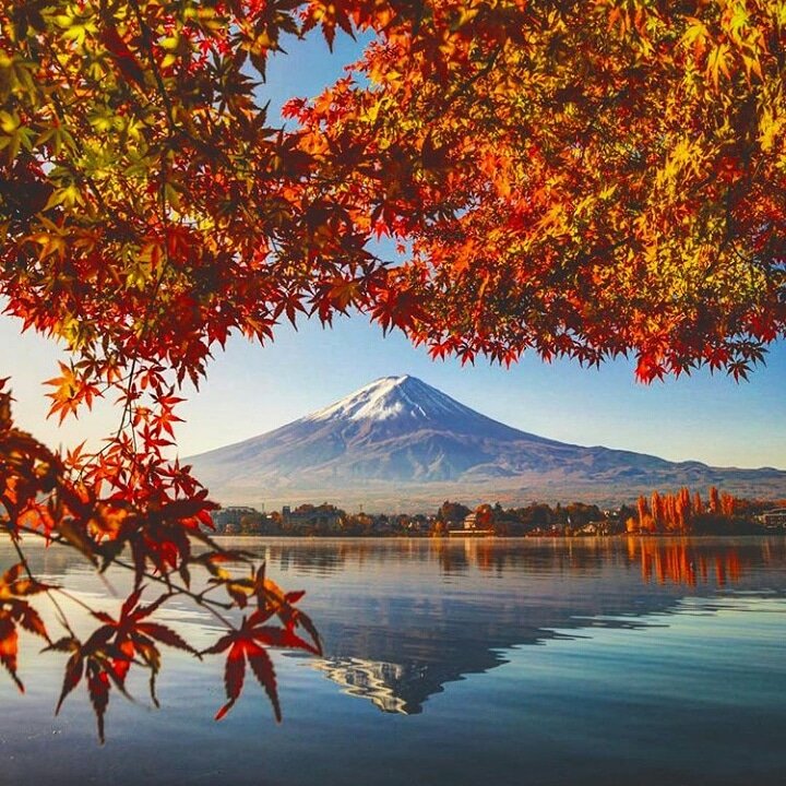 JeanSuriel's tweet photo. Extraordinaria captura del otoño en Yamanashi, Japón. Al fondo se visualiza el Monte Fuji, la cima más alta de Japón y volcán activo, aunque su última erupción fue en el año 1707.
📷 Archi Kobayashi https://t.co/XsMUGQ6Atg
