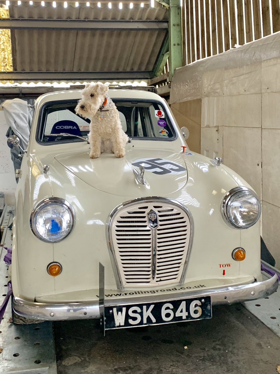 bertie_lakeland's tweet photo. Today my task has been ....... polishing 😁😁😁 https://t.co/KKT1GuYUAI