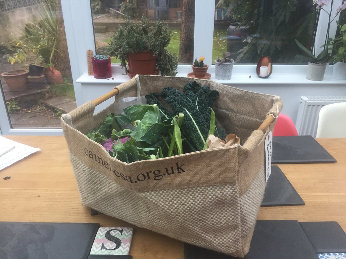 tevicornwall's tweet photo. Ooh! Look what’s just arrived from our Tevi partner ⁦@LoveYourVeg⁩ ! https://t.co/ogpD3PYlVz