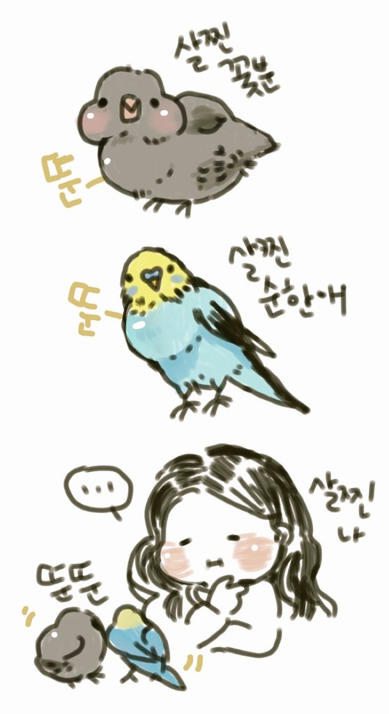 누굴닮아서 이렇게들 살이찌는거니..나도 너희도 식이조절좀 해야겠다.. 