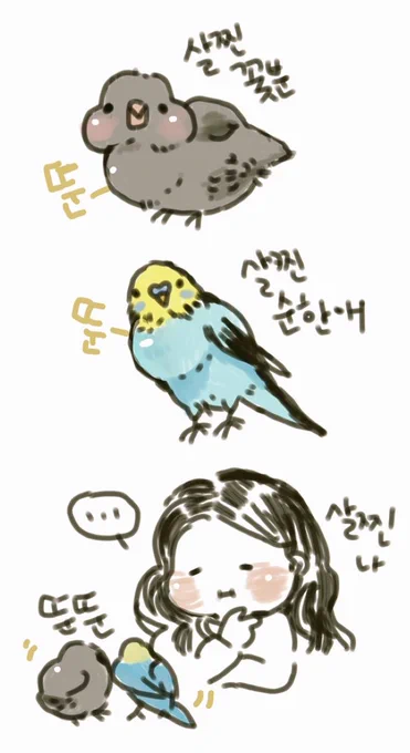 누굴닮아서 이렇게들 살이찌는거니..나도 너희도 식이조절좀 해야겠다.. 