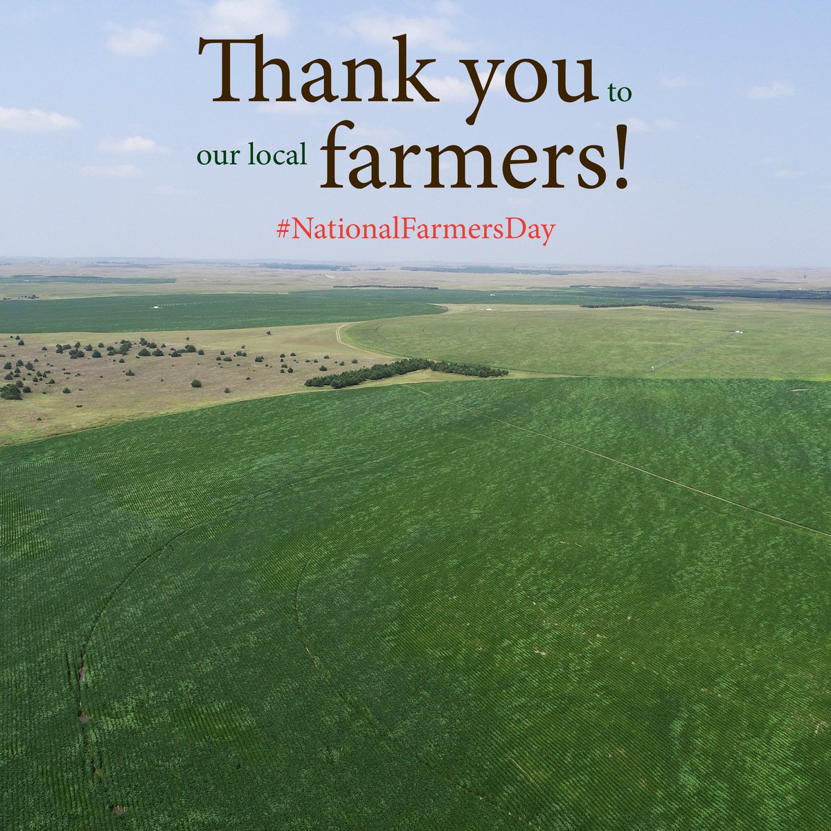 Lashley Land (LashleyLand) Twitter