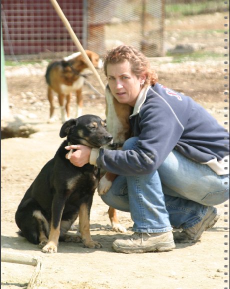 DeRavissante's tweet photo. Vanmiddag een interview gegeven voor het blad "onze hond". Ik zou nog wat foto's sturen van mijn Bosnië tijd. In 2000 ben ik daar als reikibehandelaar terecht gekomen om mensen te helpen maar eindigde met het helpen van de zwerfhonden en startte een stichting. #hoehetbegon https://t.co/TFzc6kClUY