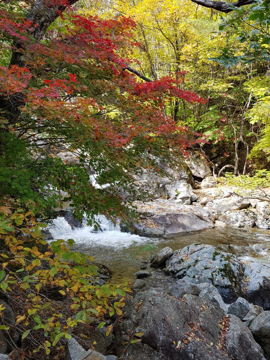 개마고원 화전민 (@ahs2352) on Twitter photo 