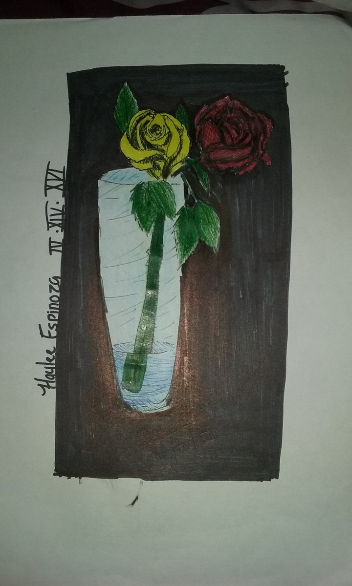 TAzonipse's tweet photo. Ib &amp; Mary Roses 
#ib #roses #redrose #yellowrose #mixedmedia #ink #crossshade
#flowers #darkbeauty #mary #art #realistic https://t.co/0UYaH8bDrA