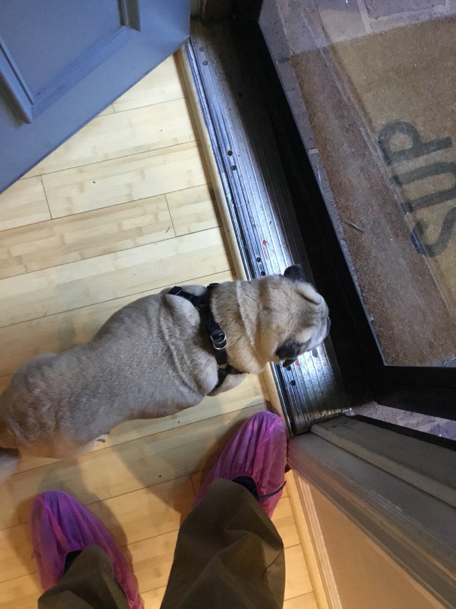 💗 #CoveredForTheCause #BreastCancerAwarenessMonth