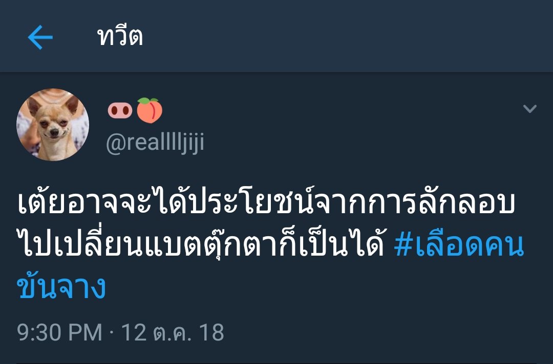 . tweet media