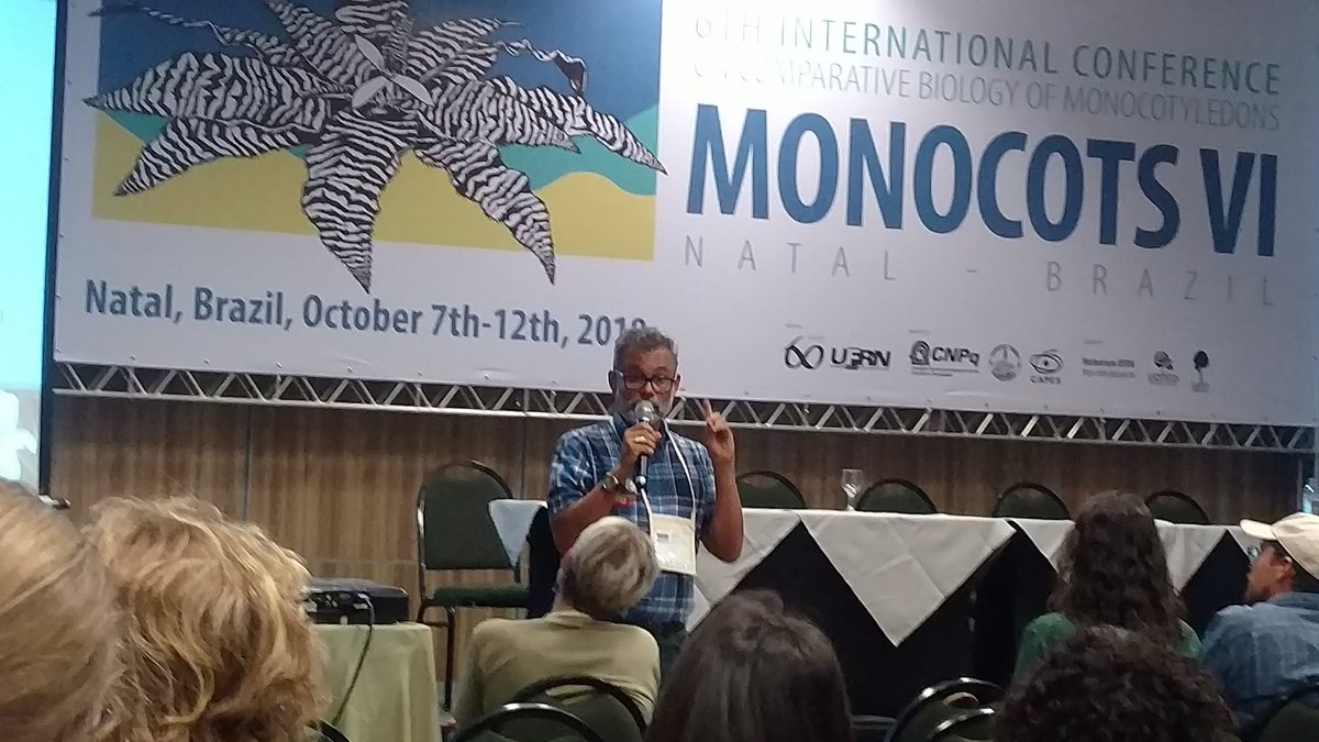 ruizlalo's tweet photo. Monocots in the Brazilian flora 2020 keynote lecture by Marccus Alves #MonocotsVI #monocots6 https://t.co/7EVfZuuHVg