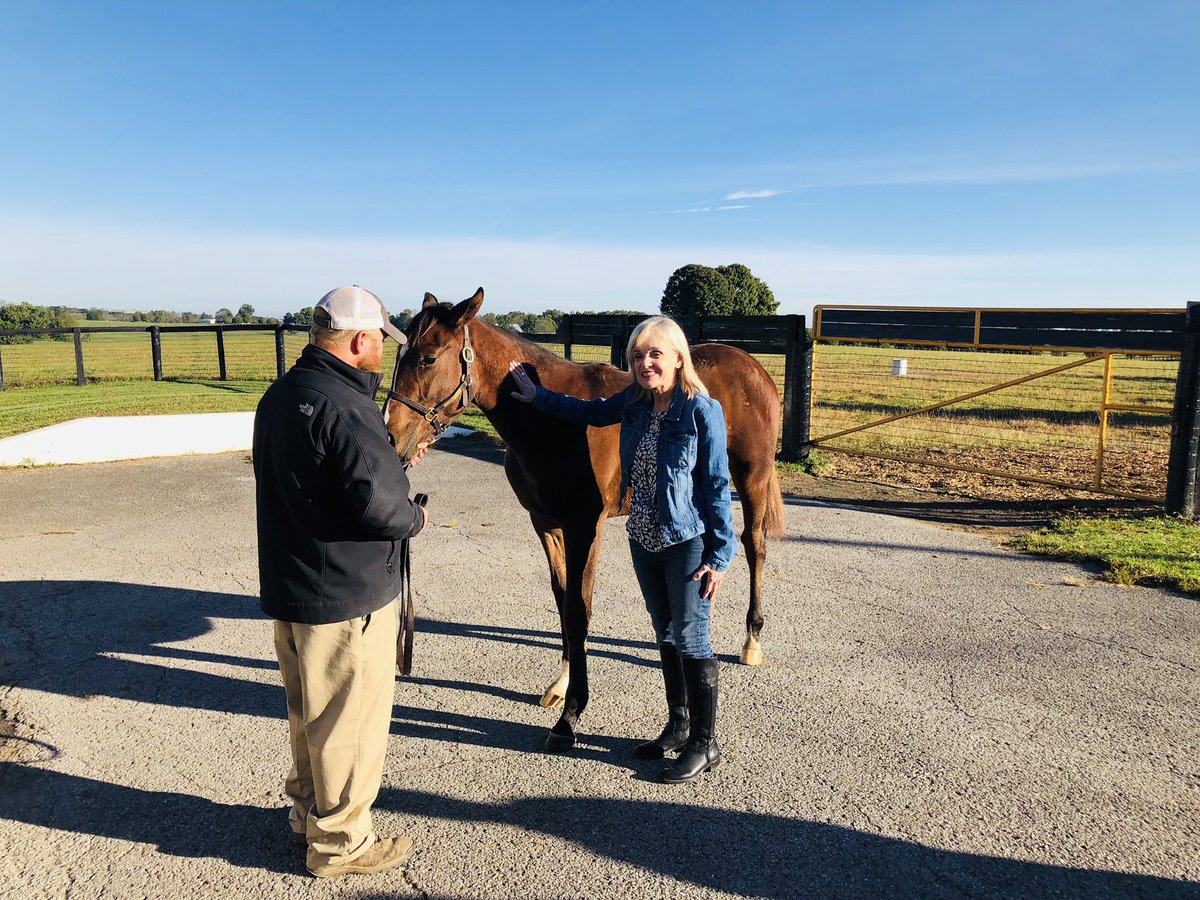 georgiagirl581's tweet photo. Thxs so much to @claibornefarm and @KYHorseCountry for an amazing experience with Tour Of Duty and his Dam Sabbatical! #ManOWarProject https://t.co/N0RPW4JwUo