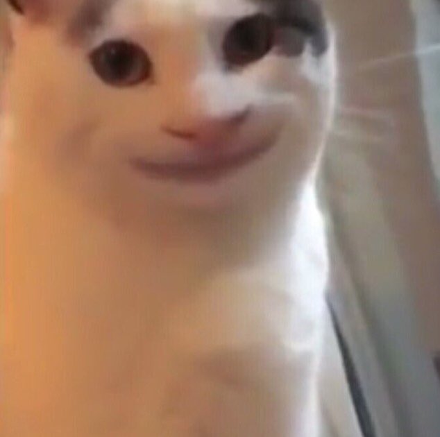 momo tweet media