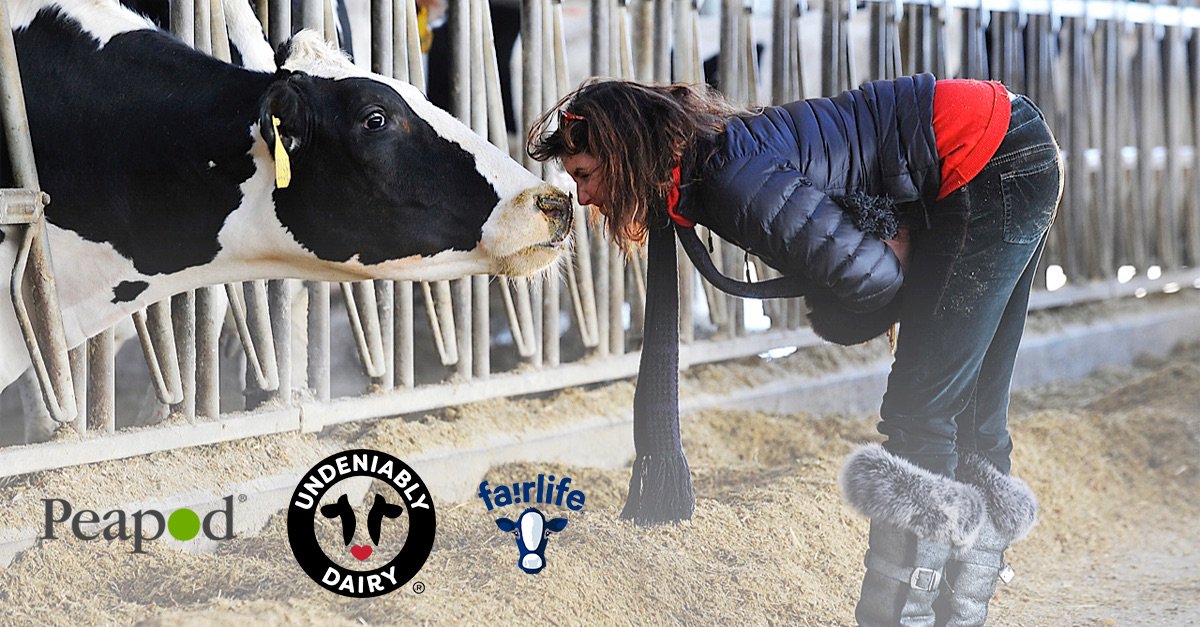 momknowsbest15's tweet photo. Peapod delivers your groceries to you! Check out this awesome deal & save $6 on Fairlife Dairy in your Peapod order! #TwoMilksInAPod #CollectiveBias #ad https://t.co/AwecCGw7wA https://t.co/UFEoBGEqEw
