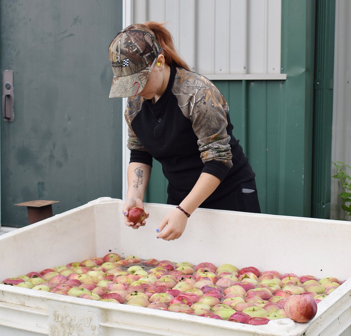 EssexWestford's tweet photo. Forestry students at @CTEforTech were making apple cider last week! #EWSD #VT https://t.co/EG4dHy7NWw