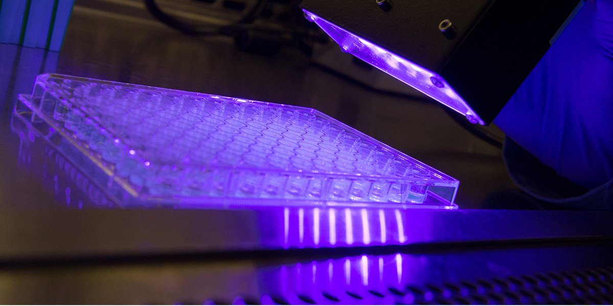 Research at Purdue (@research_purdue) on Twitter photo Purdue University researchers are testing whether a light-active version of heme, the molecule responsible for transporting oxygen in blood circulation, may help people infected with MRSA. <a href="/PurdueChemistry/">Purdue Chemistry</a> <a href="/PurdueScience/">Purdue Science</a> #Purdue150 #TakeGiantLeaps
goo.gl/nNmWP4 Purdue University researchers are testing whether a light-active version of heme, the molecule responsible for transporting oxygen in blood circulation, may help people infected with MRSA. <a href="/PurdueChemistry/">Purdue Chemistry</a> <a href="/PurdueScience/">Purdue Science</a> #Purdue150 #TakeGiantLeaps
goo.gl/nNmWP4
