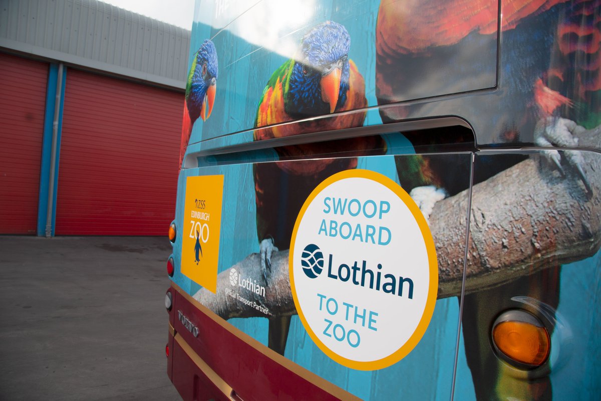 EdinburghZoo's tweet photo. Check out our new lorikeet #ZooBus! To celebrate we’re launching a special October offer - travel to the Zoo @on_lothianbuses between Friday 12 to Monday 22 October 2018 and enjoy 10% off your Zoo ticket!
For full details please visit: https://t.co/g8lvmoCa9p https://t.co/3rRcOwOYCX