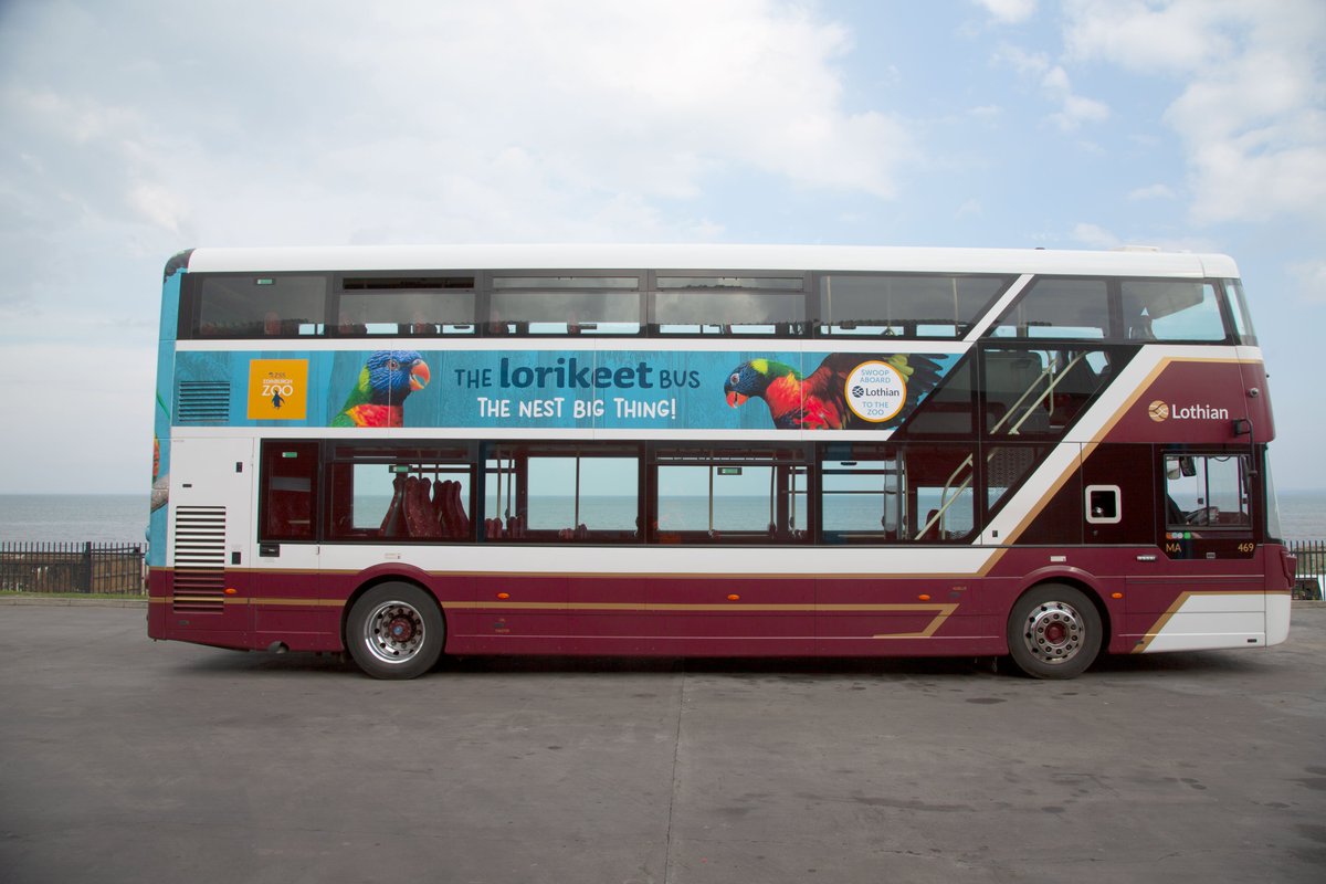 EdinburghZoo's tweet photo. Check out our new lorikeet #ZooBus! To celebrate we’re launching a special October offer - travel to the Zoo @on_lothianbuses between Friday 12 to Monday 22 October 2018 and enjoy 10% off your Zoo ticket!
For full details please visit: https://t.co/g8lvmoCa9p https://t.co/3rRcOwOYCX