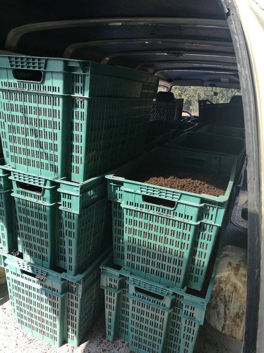 Fatih beylerin solucanlarını teslim ettik.. Hayırlı uğurlu olsun.. #solucan #solucangübresi #ataksolucan #kırmızıkaliforniyasolucanı #kaliforniyasolucanı #organik #organic #worms #mama #kazan #kahramankazan #yenibaşlayanlar #organiktarım