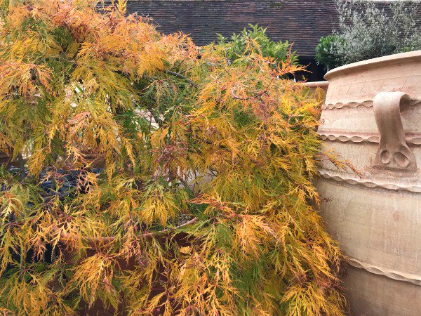 Pots and Pithoi tweet media