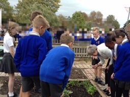 StMarysMhead's tweet photo. A lovely celebration at St Mary's for achieving our 6th Green Eco Flag with the official opening of our refurbished Eco garden and raising of the flag @theresa_may @EcoSchools https://t.co/jViOX5j2h7