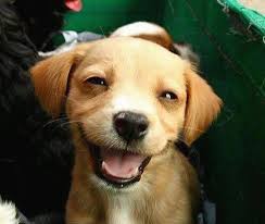 Brainbuzz_media's tweet photo. Get Ready to SMILE to the Bank - Starting your online Business Today
https://t.co/EWA3HWCjpo…
#MidDayShowWithOsi
#FeazyWhyneForDaddy
#DesperateGTB
#FridayFeeling
Image https://t.co/HziRWl7Nwl